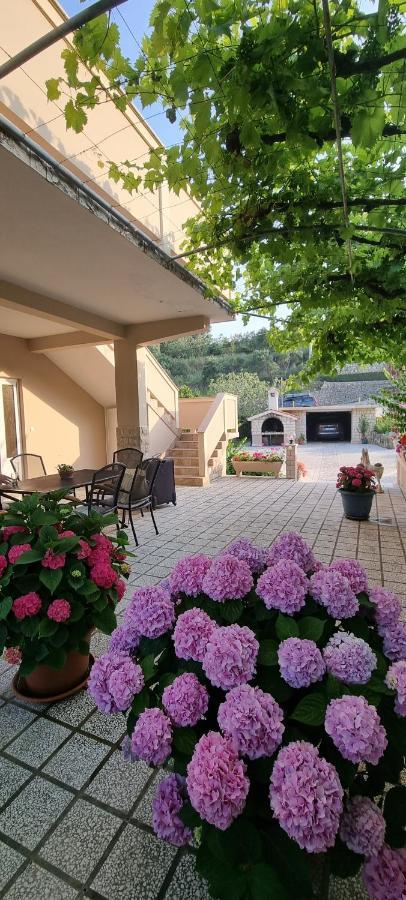Apartman Anka Palit Exterior photo